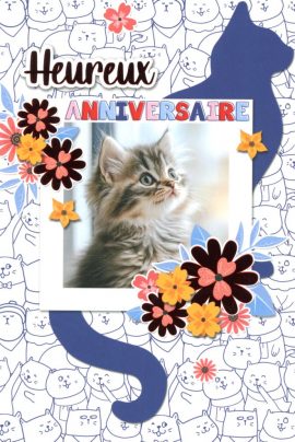 CARNET ANNIVERSAIRE ADOS