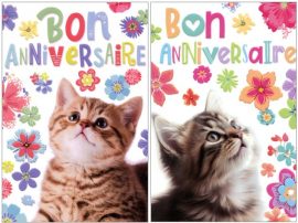 CARNET ANNIVERSAIRE ADOS