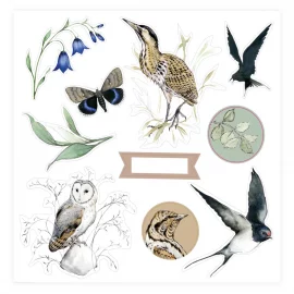 ALBUM DE 81 STICKERS OISEAUX 15,5 x 15,5 cm