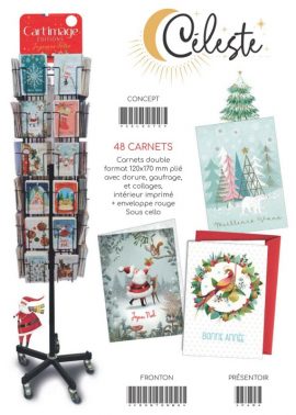 CONCEPT CELESTE FA 240 CARNETS DONT 38 OFFERTS + PRESENTOIR