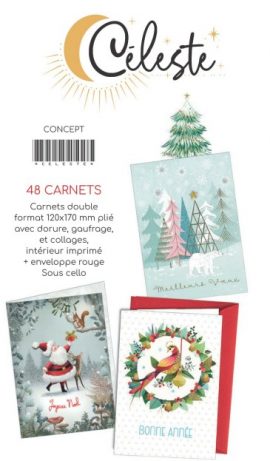 CONCEPT CELESTE FA 240 CARNETS