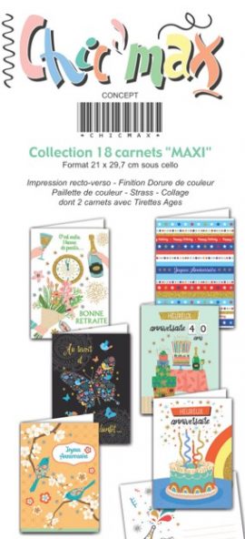 CONCEPT 18 références x 6  –  CARNETS MAXI CARTE CHICMAX A4