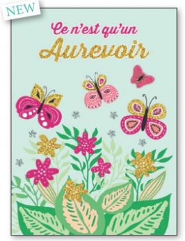 MAXI CARTES CHICMAX A4