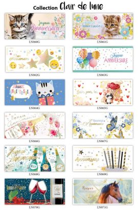 CONCEPT CLAIR DE LUNE 36×6 CARNETS 21 x 9 cm + PRESENTOIR + FRONTON – COMPENSATION 40 CARNETS