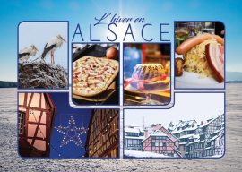 CARTES POSTALES FIN D’ANNEE ALSACE 10×15