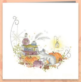 CARNET DOUBLE SOLENN PELZ + enveloppe – Format 15x15cm – sans cello