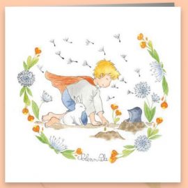 CARNET DOUBLE SOLENN PELZ + enveloppe – Format 15x15cm – sans cello