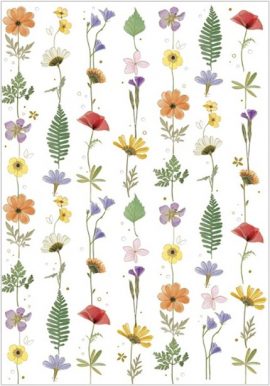 CARNET DOUBLE TURNOWSKY + enveloppe