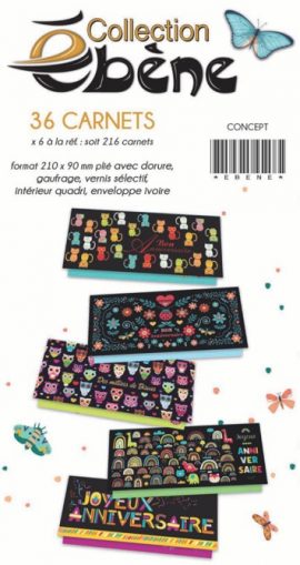 CONCEPT EBENE 36×6 CARNETS DOUBLES 21 x 9 cm