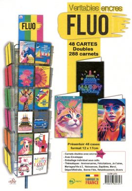 CONCEPT FLUO 48 Références x 6 – CARNETS DOUBLES 12 x 17 cm + PRESENTOIR 48 CASES