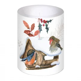 PETITE BOUGIE LANTERNE H 8,5 m x Diam 7,8cm durée de combustion 35 heures – OISEAUX