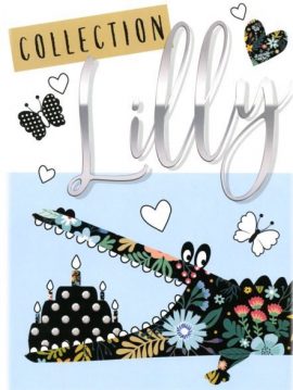 33×6 CARNETS COLLECTION LILLY format 15,5×19,5  enveloppe SANS CELLO