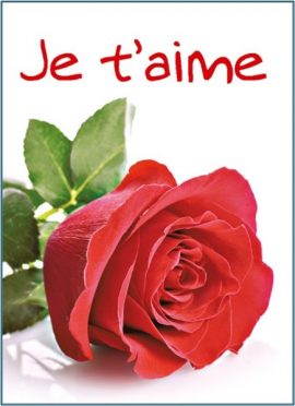 CARNET AVEC TEXTE – Ft 6 x 8,3 cm + ENVELOPPE