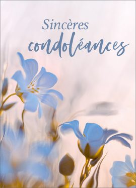 CARNET AVEC TEXTE – Ft 6 x 8,3 cm + ENVELOPPE