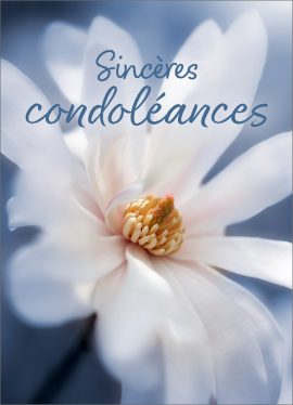 CARNET AVEC TEXTE – Ft 6 x 8,3 cm + ENVELOPPE