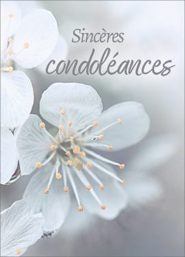 CARNET AVEC TEXTE – Ft 6 x 8,3 cm + ENVELOPPE