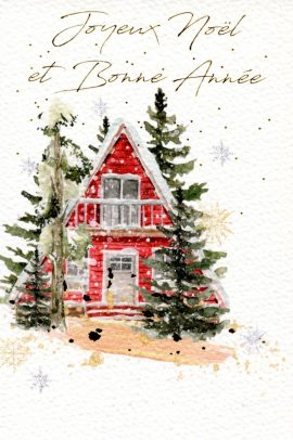 CARNET JOYEUX NOEL ET BONNE ANNEE