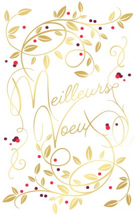 MIGNONNETTES FIN D’ANNEE x 5 + ENVELOPPES