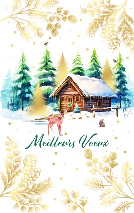 MIGNONNETTES FIN D’ANNEE x 5 + ENVELOPPES