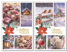 MIGNONNETTES FIN D’ANNEE x 5 + ENVELOPPES