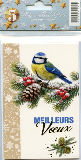 MIGNONNETTES FIN D’ANNEE x 5 + ENVELOPPES