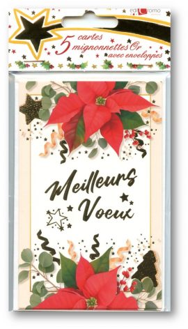 MIGNONNETTES FIN D’ANNEE x 5 + ENVELOPPES