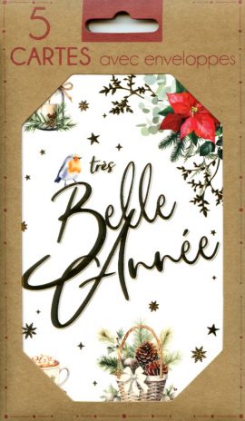 MIGNONNETTES FIN D’ANNEE x 5 + ENVELOPPES