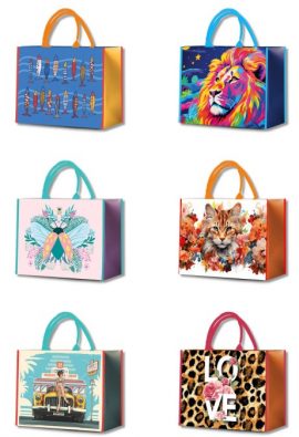 SACS CHIC FANTAISIE ASSORTIS (6 VISUELS x 2)
