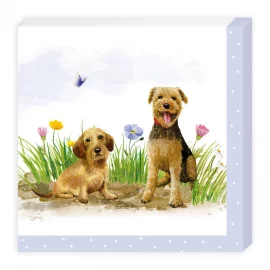 PAQUET DE 20 SERVIETTES EN PAPIER – 33 x 33 cm – 3 plis