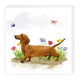 PAQUET DE 20 SERVIETTES COCKTAIL EN PAPIER – 25 x 25 cm – 3 plis