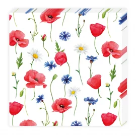 PAQUET DE 20 SERVIETTES COCKTAIL EN PAPIER – 25 x 25 cm – 3 plis