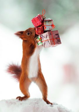 CARNET DOUBLE SANS TEXTE 12x17cm – FIN D’ANNEE + Enveloppe