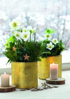 CARNET DOUBLE SANS TEXTE 12x17cm – FIN D’ANNEE + Enveloppe