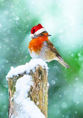 CARNET DOUBLE SANS TEXTE 12x17cm – FIN D’ANNEE + Enveloppe